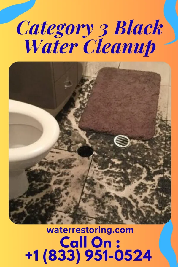 Category 3 Black Water Cleanup in Vincennes, IN
