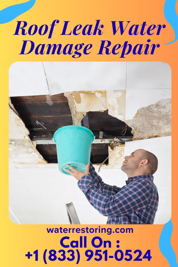 Roof Leak Water Damage Repair in Vincennes, IN